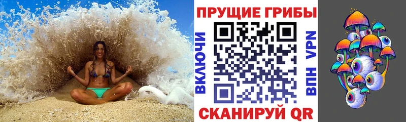 Галлюциногенные грибы Cubensis Грозный